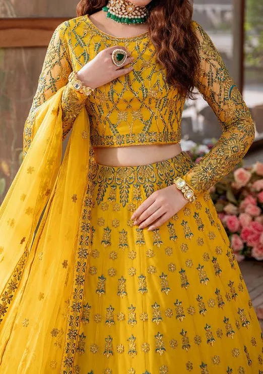 Akbar Aslam Shehernaz Pakistani Net Lehenga Choli