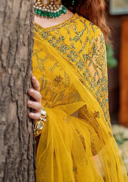 Akbar Aslam Shehernaz Pakistani Net Lehenga Choli