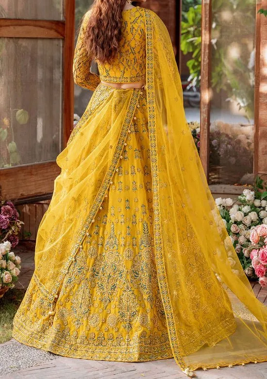 Akbar Aslam Shehernaz Pakistani Net Lehenga Choli