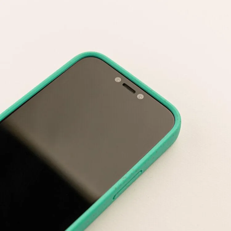 iPhone 12 - Etched