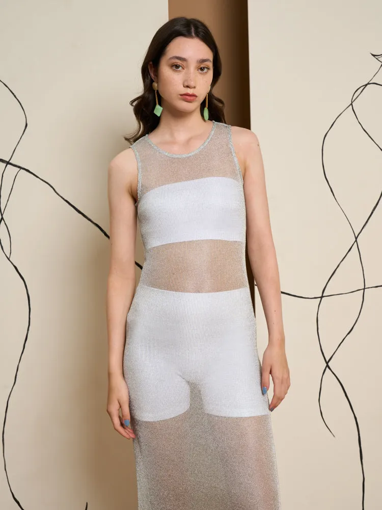 Regina Mesh Maxi Dress