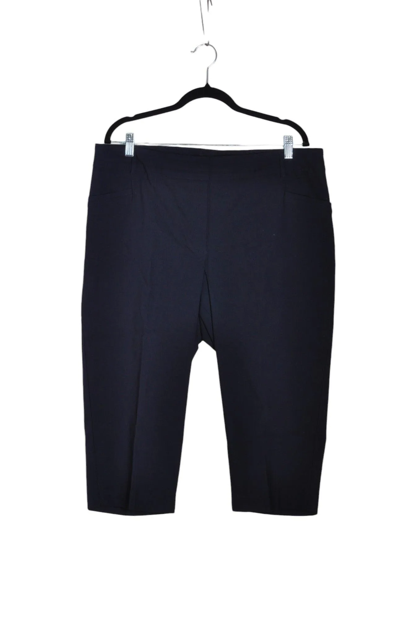 REITMANS Women Capri Pants Regular fit in Blue - 20