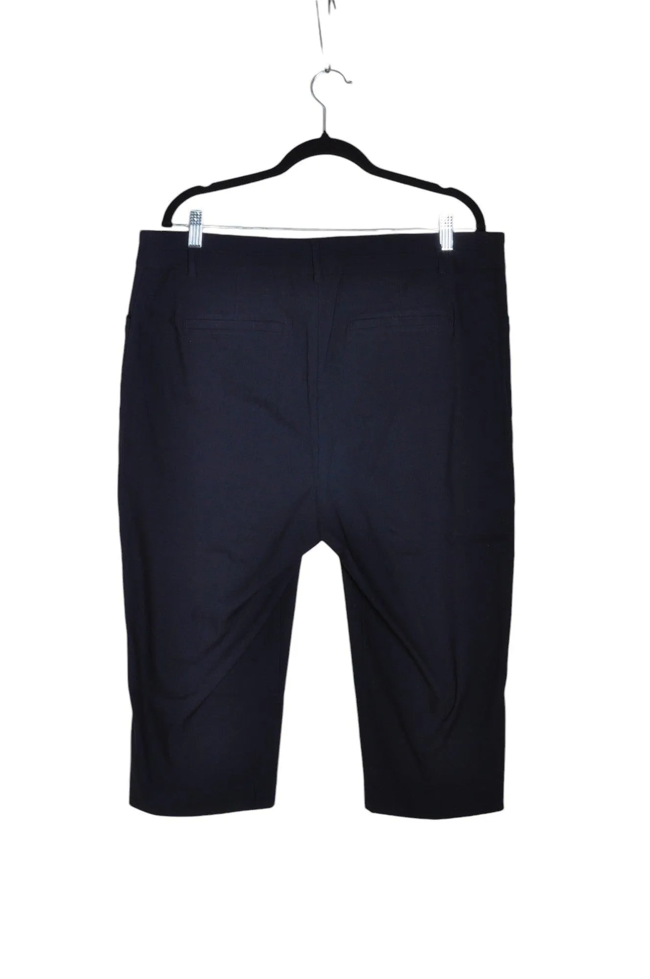 REITMANS Women Capri Pants Regular fit in Blue - 20
