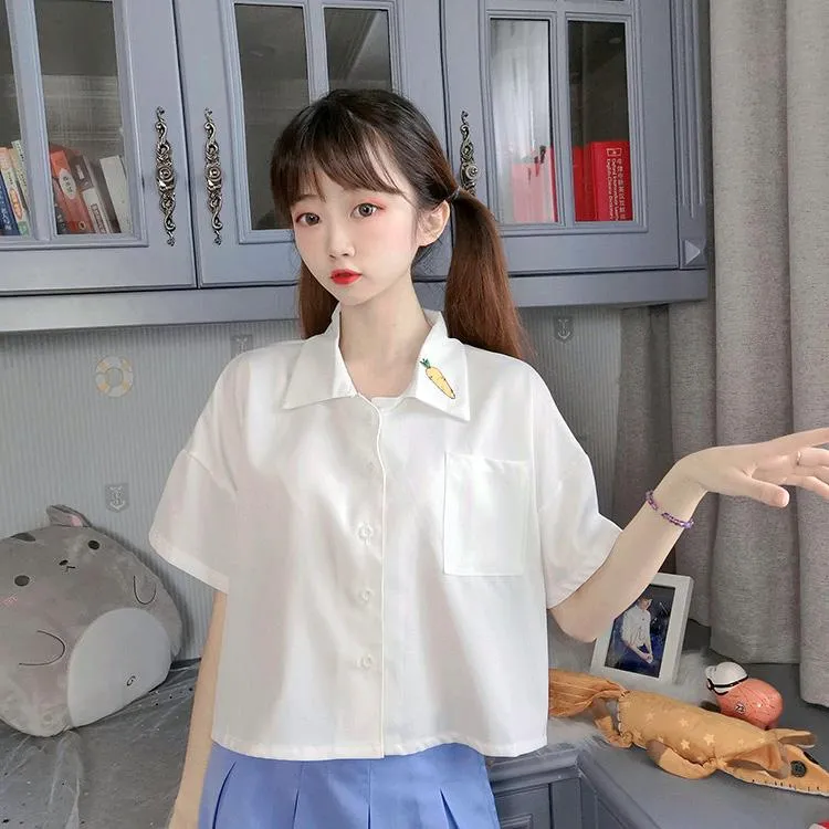 Women's Casual Carrot Embroidered Chiffon Shirts