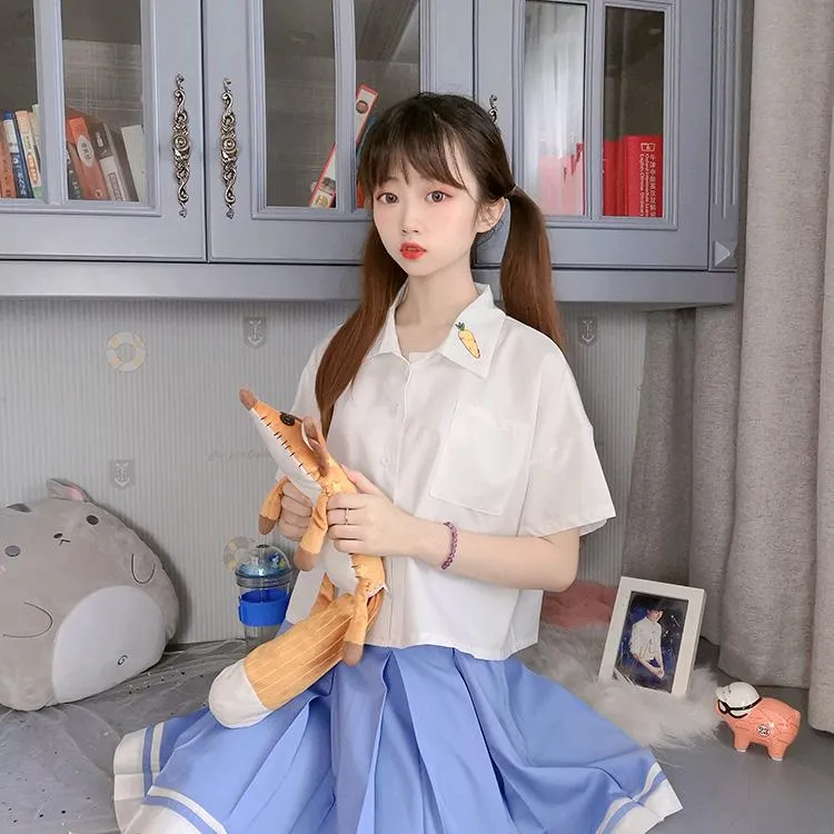 Women's Casual Carrot Embroidered Chiffon Shirts