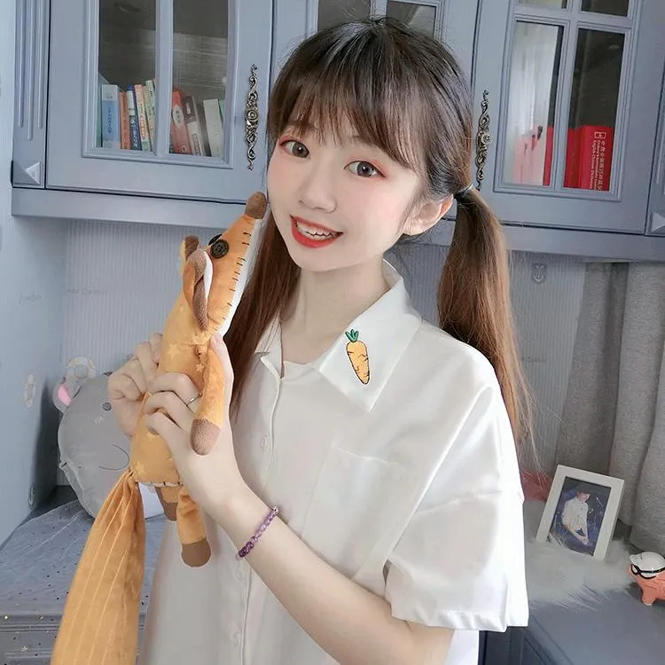 Women's Casual Carrot Embroidered Chiffon Shirts